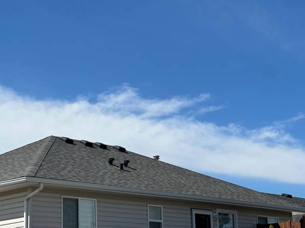 Best Roof Maintenance and Cleaning  in Bonneauville, PA